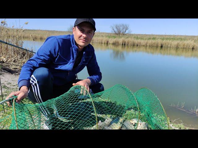 Рыбалка 2024.Рыбалка в Крыму с.Орлянка.Зачетные караси#fish #fishing #карп #carpfishing #рыбалка#