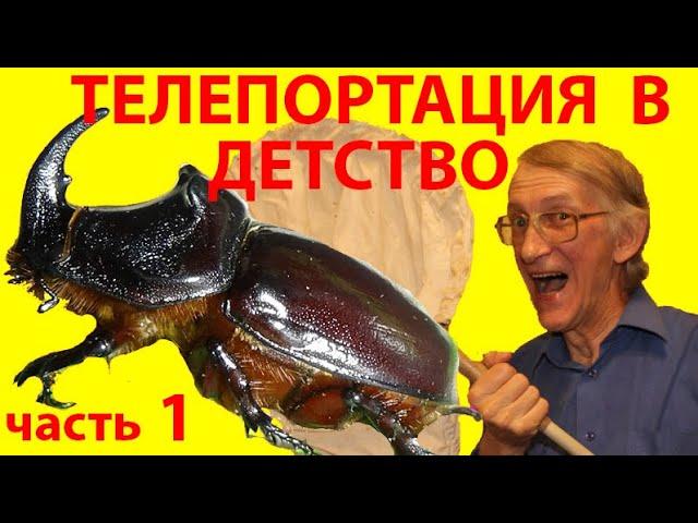 Насекомые в Детстве. ЧАСТЬ-1. Детство и Коллекция Насекомых. Дневники Наблюдений за  Насекомыми.