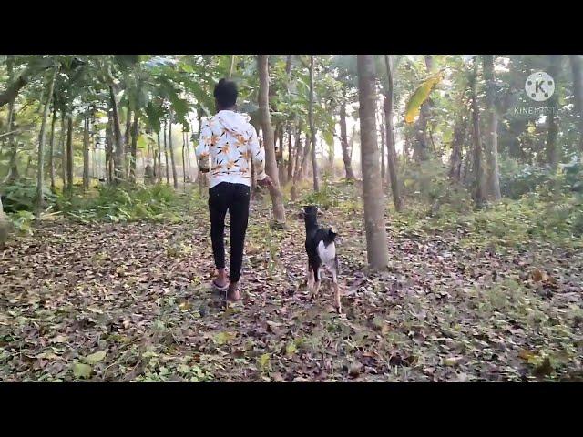 Amazing man meets first time with his goat us nimal !!#goat video # goat vs man