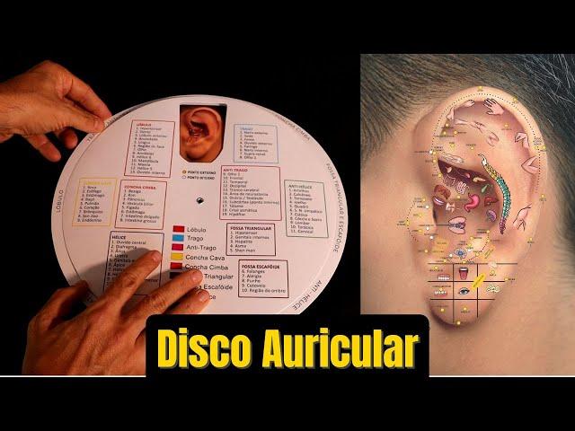 Mapa Disco Auricular - Thiago Nishida - Mapa Auricular