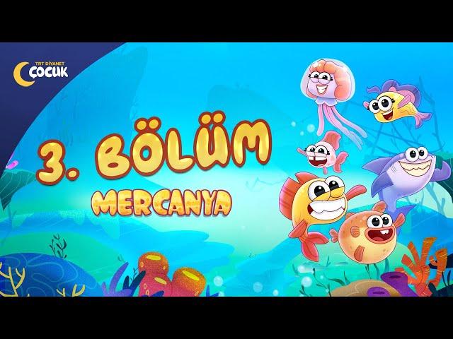 Mercanya | 3. Bölüm | Gizemli Sandık
