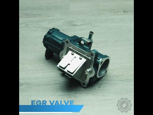 Let's Talk EGR Valves!