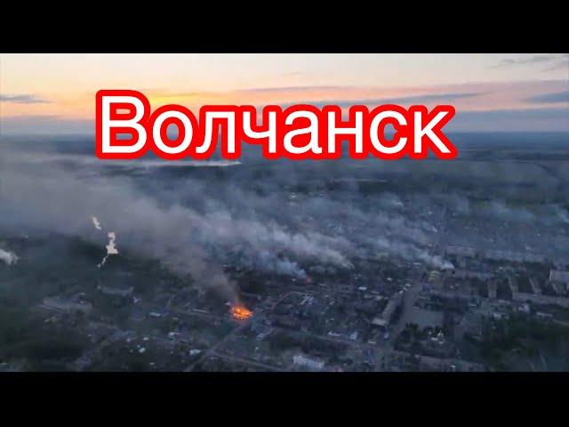 Волчонок 18.05.2024 года