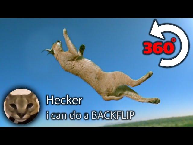 When Hecker Does the Impossible...