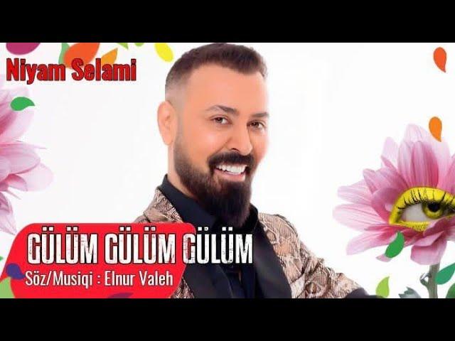 Niyam Salami - Gülüm Gülüm (2024)