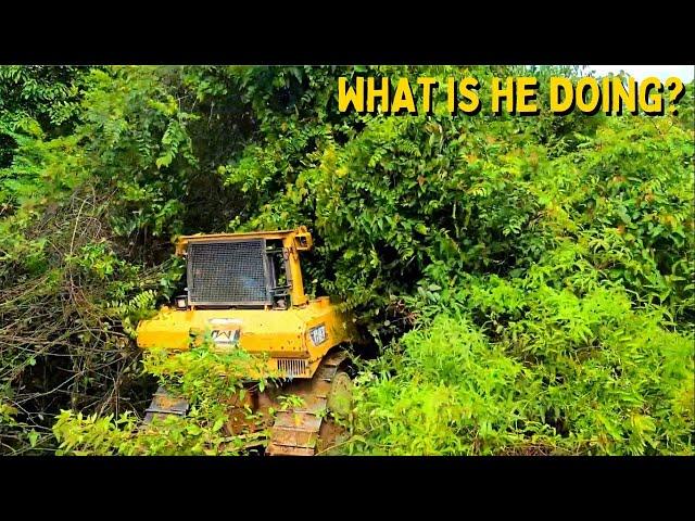 This is What Happens When a Rogue Operator Forces a Dozer to Break Through a Bushes