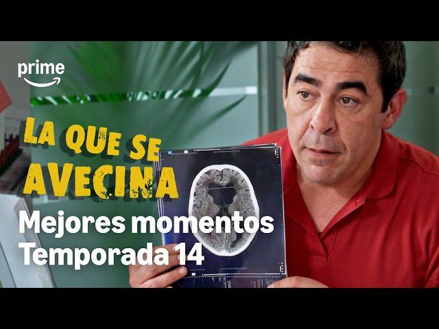 Mejores momentos - La que se avecina - Temporada 14