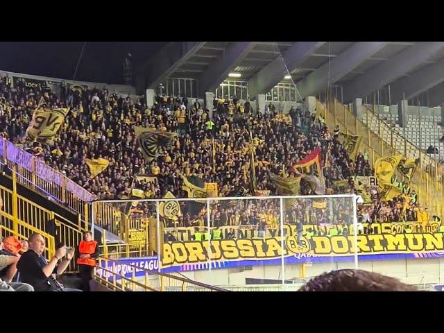 BVB Fans Away at Brugge | Champions League Match Club Brugge vs Borussia Dortmund 0:3 "18.09.2024"