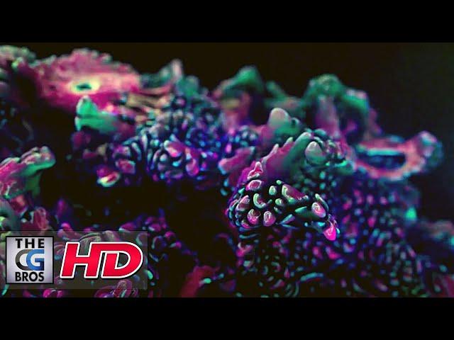 CGI & VFX Showreels: "FX Artist junior" - by Arthur Muller | TheCGBros