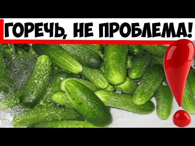 Огурцы на консервацию оказались горькими. Замочила c... наутро от горечи и следа не осталось!