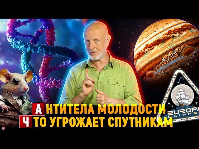 Космический залёт, средство от старости, львиные рекорды | Новости науки