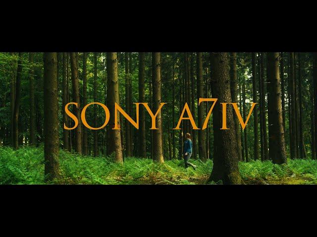 SONY A7IV "Cinematic" Forest Walk