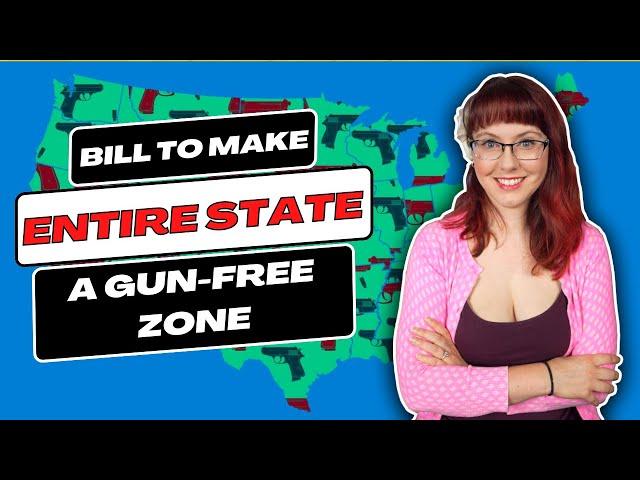 Bill to Make ENTIRE State a Gun-Free Zone