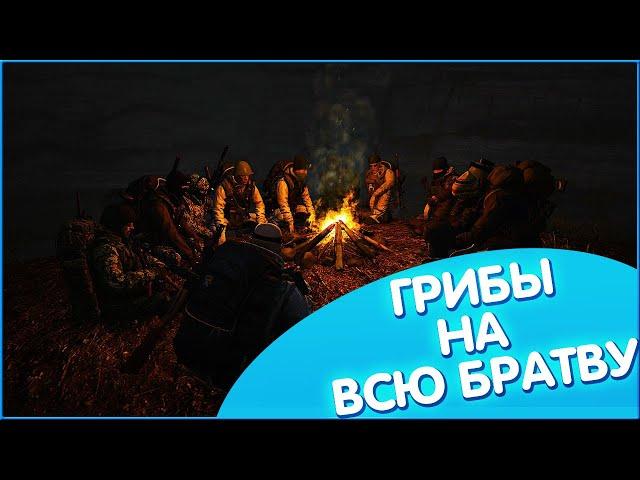 stay out stalker online Грибы на всю Братву