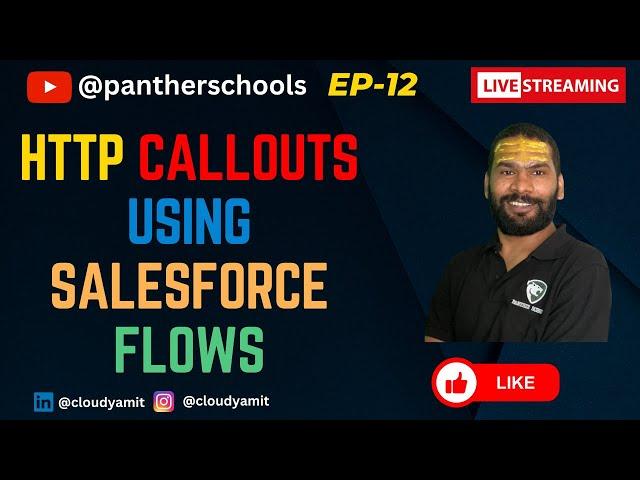 EP12 - How to make HTTP Callouts from Salesforce Flows || #sfdcpanther #pantherschools