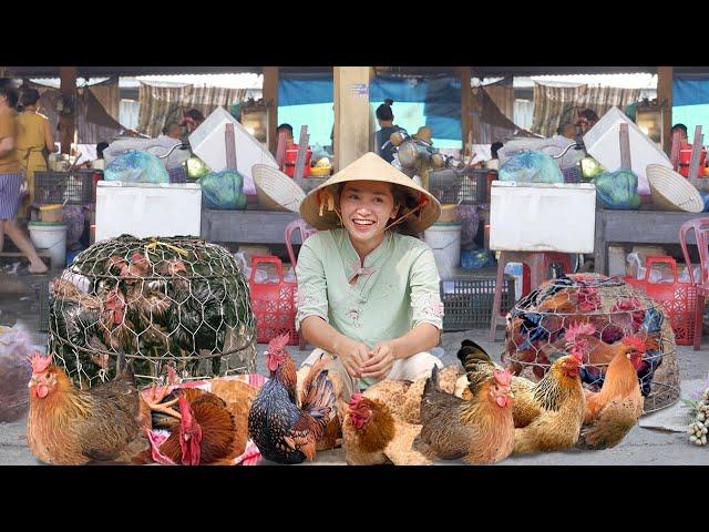 Catching Chickens and Selling Them at the Market – Fresh Chicken Recipes for Delicious Meals