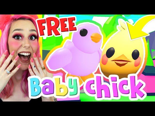 NEW BABY CHICK PET IN ADOPT ME! HOW TO GET THE EXCLUSIVE EASTER EGG! Adopt Me Roblox Egg Hunt 2020