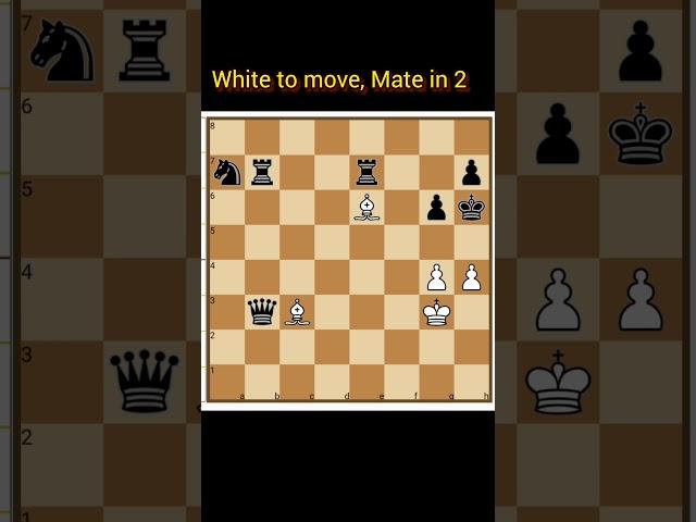 ||Mate in 2|| #shorts #chess  #checkmate #learnchess  #tactics #chessforbeginners #chessmatetricks
