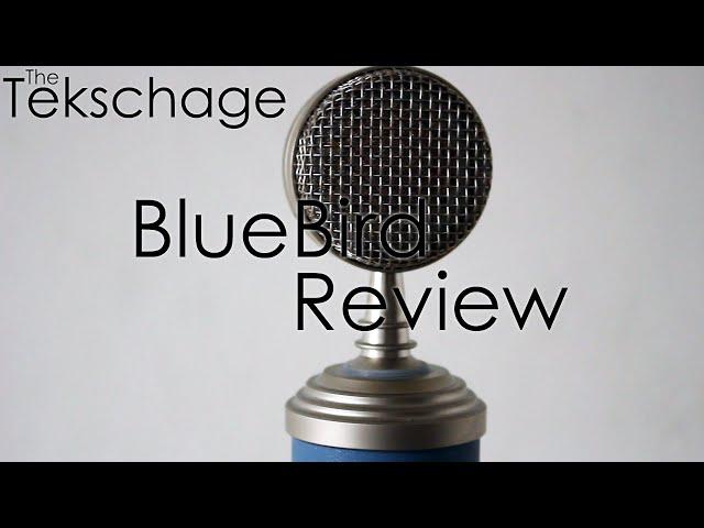 Bluebird Review | The Tekschange