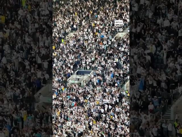 Spurs fans celebrating at the Tottenham Hotspur Stadium is CINEMA #UEL #EuropaLeague #Tottenham