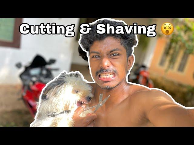 Luzy കടിച്ച് Guyzz || Cutting & Shaving || KnOckOuTer ️