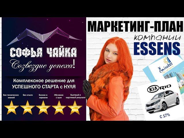 Маркетинг план компании Essens