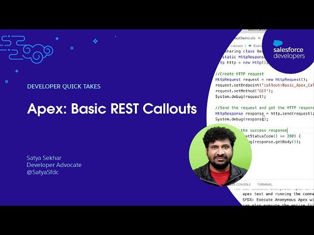 Apex: Basic REST Callouts | Developer Quick Takes