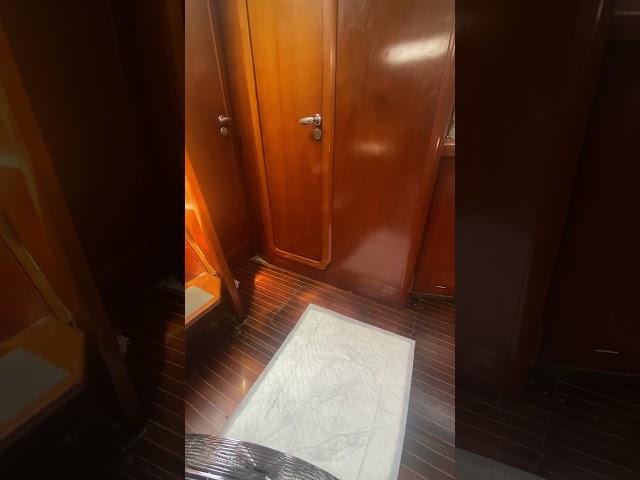 The Reality of Living on a Boat With a Geriatric Dog
