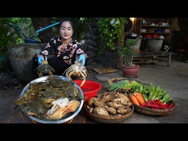 Countryside life TV: Country mother harvest free vegetable and cooking for children