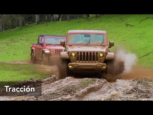 Jeep® Trail Rated: Excelencia Todoterreno