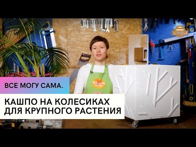 Кашпо на колесиках для крупного растения \ Все могу сама