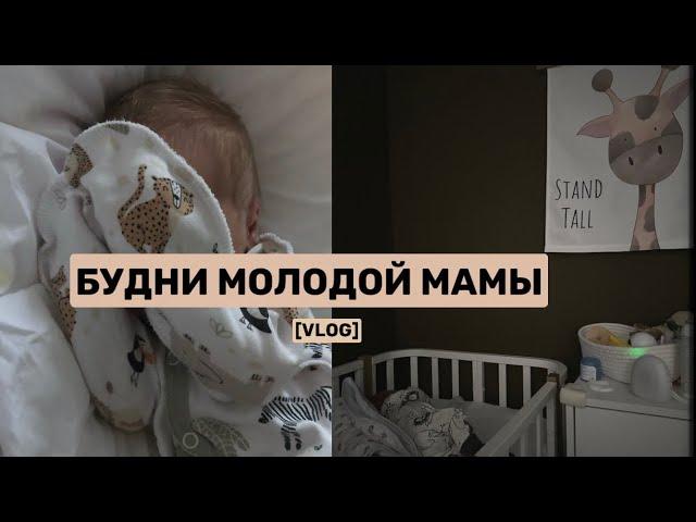 VLOG / ДНИ С НОВОРОЖДЕННЫМ, ГВ, КОЛИКИ, НАШИ СЛОЖНОСТИ #буднимамы #влогмолодоймамы #новорожденный