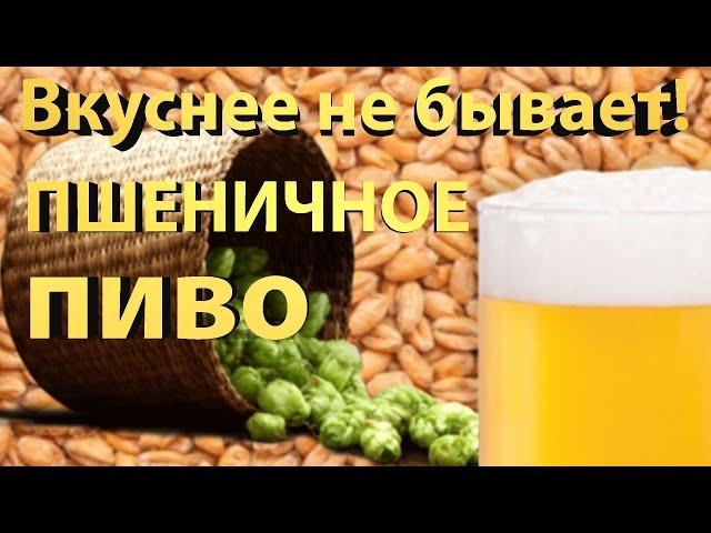  Самая вкусная ПШЕНИЧКА! Домашнее Пшеничное пиво.