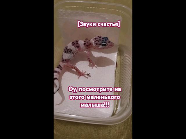 Нео Растёт #врек #мем #рек #врекомендации #рекомендации #в_р_е_к_о_м_е_н_д_а_ц_и_и