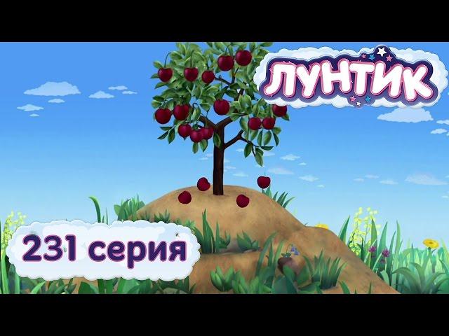 Лунтик и его друзья - 231 серия. Вишня