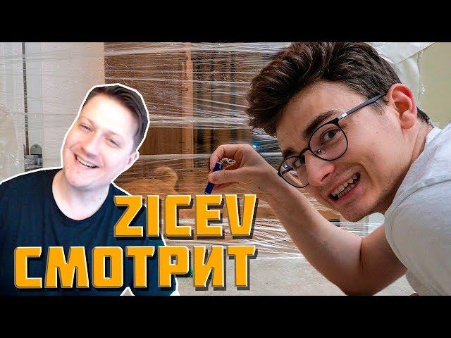 Zicev СМОТРИТ ► Кот VS Невидимая стена (TheBrianMaps)