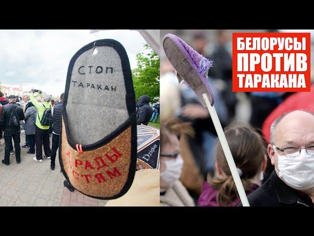 Белорусы выходят с тапками по всей стране | Свергнем таракана