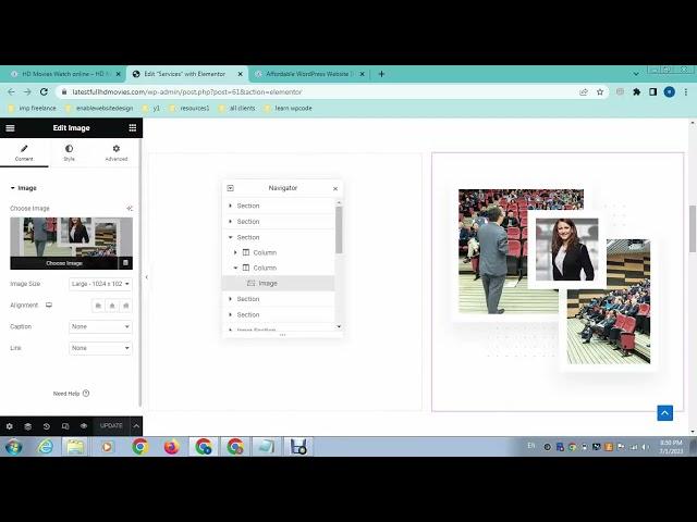 How to use image animation effects in elementor pro wordpress