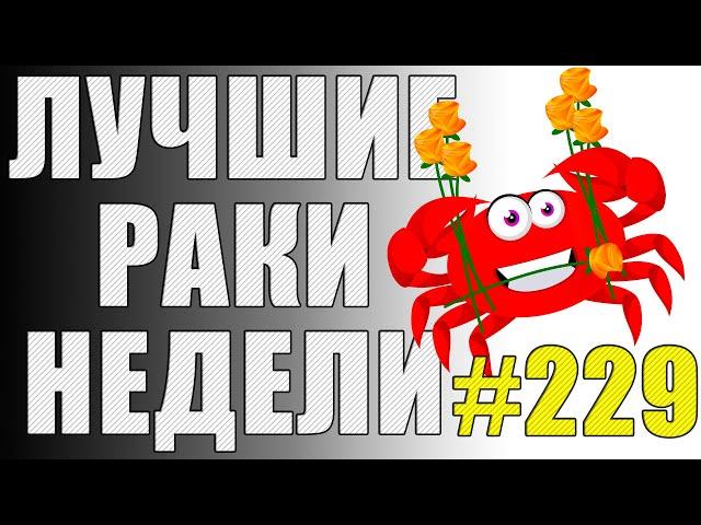 ЛРН выпуск №229  РАКООБРАЗНАЯ ЭКСКУРСИЯ и АНТИМАТЕРИАЛЬНЫЕ СНАРЯДЫ [Лучшие Раки Недели]