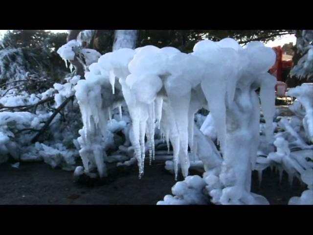 Ялта лед на деревьях после шторма. Yalta winter 2012