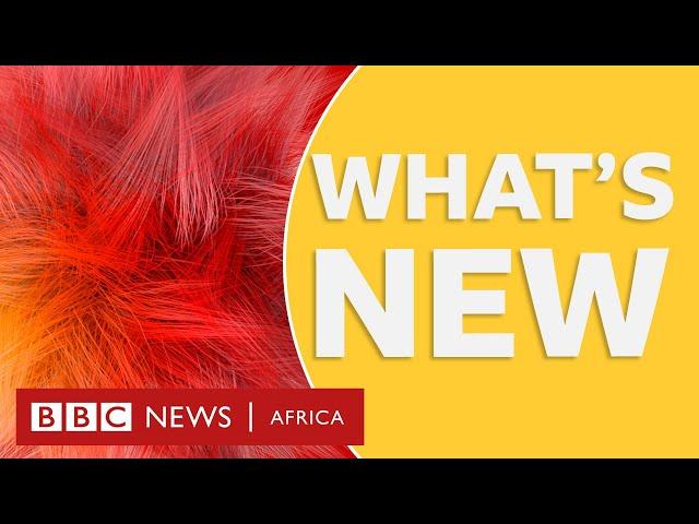 16-year-old Angel on living with hydrocephalus and other stories - BBC What's New