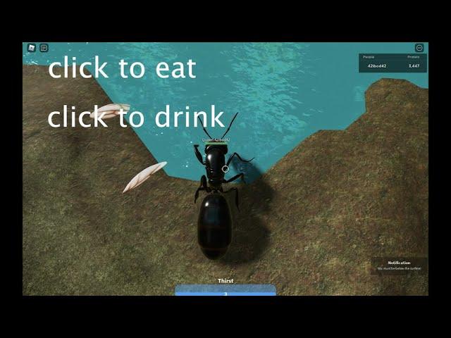 Ant Life Controls (Roblox)