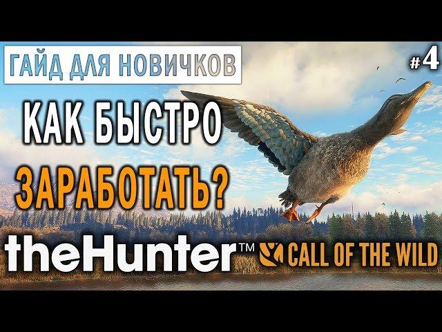 theHunter Call of the Wild #4  - Как Быстро Заработать и Прокачаться? - ГАЙД