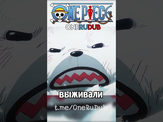 Бепо сбегает с Трафальгаром  #onepiece #озвучка #memes #ванпис  #anime #аниме #onerudub