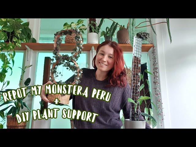 PLANT CHORES & DIY PLANT TRELLIS // NZ