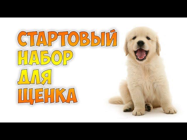 "Стартовый набор" для щенка