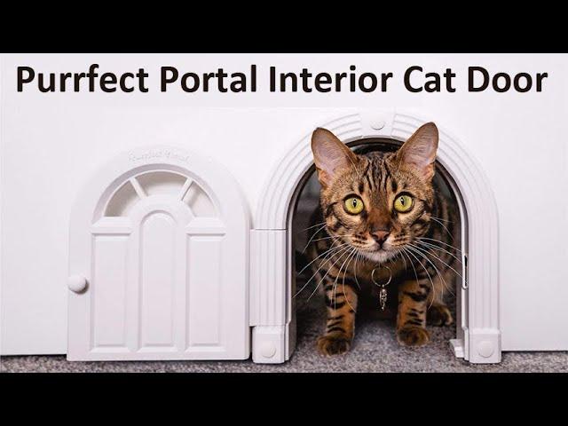 Purrfect Portal Interior Cat Door & Features