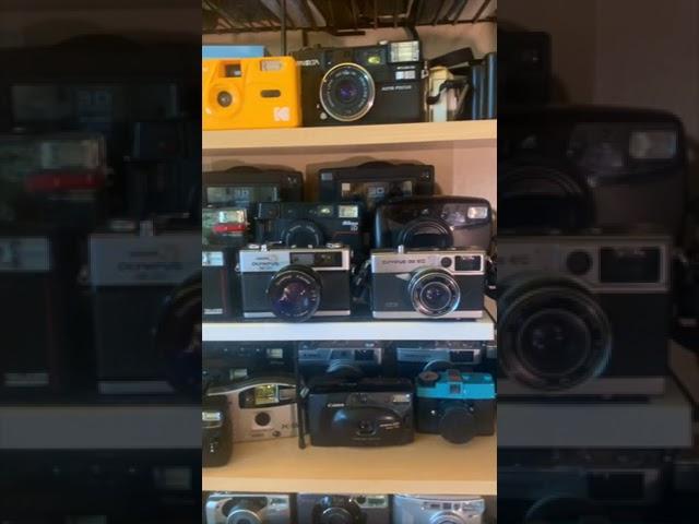 Over 100 FILM CAMERAS!