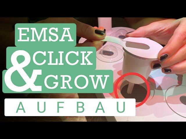 Emsa Click and Grow Smart Garden Aufbau