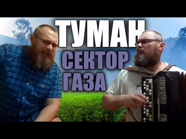 СЕКТОР ГАЗА-ТУМАН/Разбор на баяне. Самый лёгкий  способ исполнить эту песню для друзей во дворе